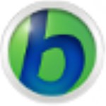 BabyIon(多語(yǔ)言翻譯工具) v0.0.29 官方版 