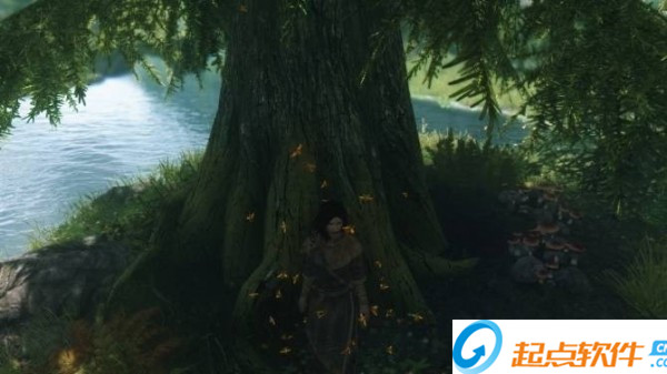 上古卷軸5重制版身臨其境的蜜蜂MOD