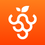 葡萄多 v1.1 手機版 