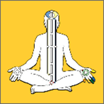 能量流手機版 v1.2.0 安卓版 