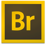 Adobe Bridge CS6 中文版 