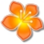 banacast player電腦版 v1.2 官方版 