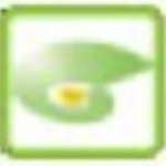 星光商務(wù)進(jìn)銷存管理軟件 v0.3 官方版 