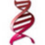 Oligo下載(引物設(shè)計軟件) v7.56 綠色版 