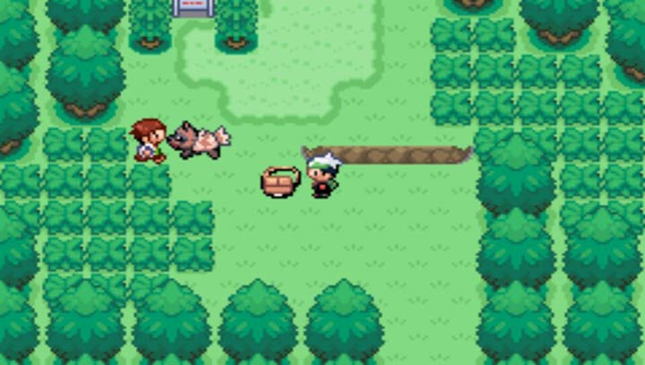 口袋妖怪 永恒之沫v3.0續(xù)版下載 安卓版圖1