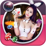 文豪迷犬怪奇譚 V1.0.0