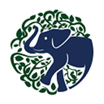 大腦派app下載 v1.0 手機(jī)版 