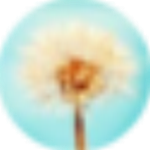 精易查帖下載 v1.0 綠色版 