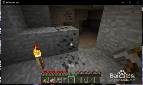 我的世界2游戲下載