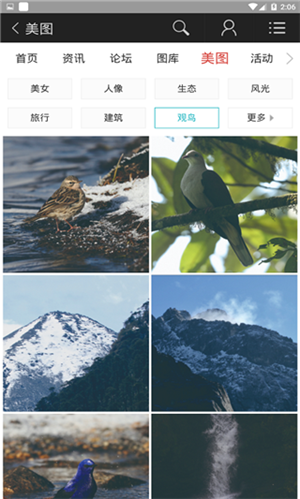 蜂鳥圖庫安卓下載 v2.1.0 手機(jī)版圖1