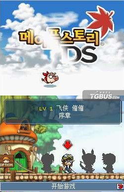 冒險(xiǎn)島DS中文版 漢化破解PC版圖1